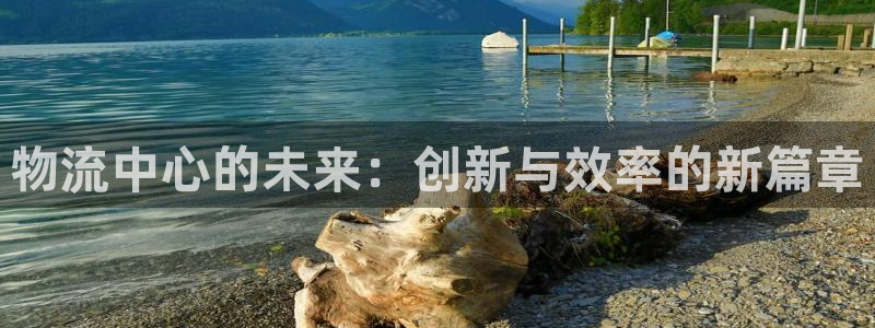 28圈客服電話:物流中心的未來:創(chuàng)新