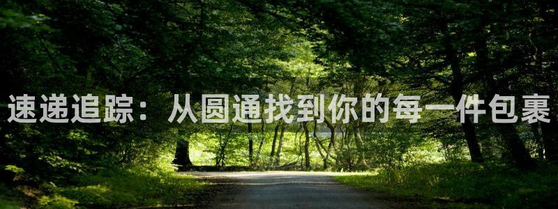 28圈的自行車:速遞追蹤:從圓通找到