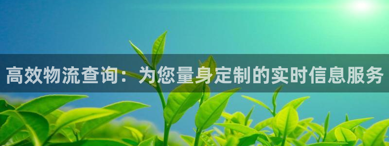 28圈是正規(guī)平臺(tái)嗎:高效物流查詢:為