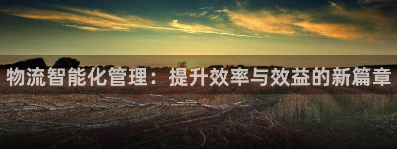 28圈退款:物流智能化管理:提升效率