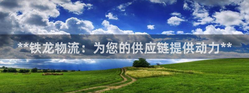 28圈加拿大是什么意思:**鐵龍物流