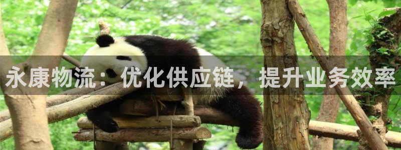 28圈ip被限制怎么解決:永康物流: