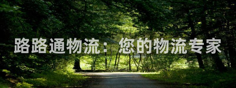 28圈注冊(cè)與教程:路路通物流:您的物