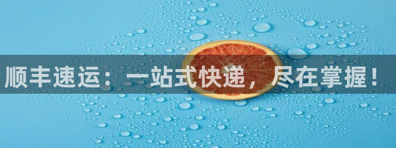 28圈犯法嗎:順豐速運(yùn):一站式快遞,