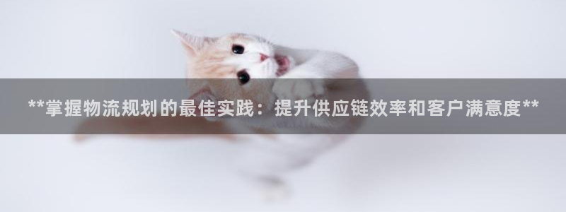 28圈官網多少:**掌握物流規(guī)劃的最