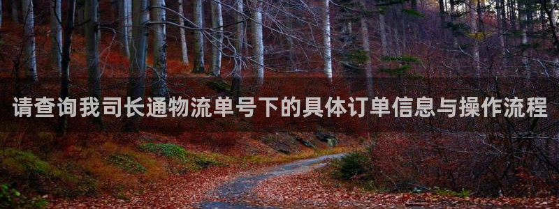 28圈如何看計劃